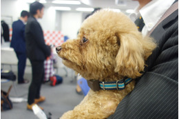 IoTのプロが愛犬用ウェアラブルを作った!富士通から「わんダント2」 画像