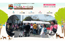 代々木公園で愛犬家のためのイベント！今日から2日間 画像