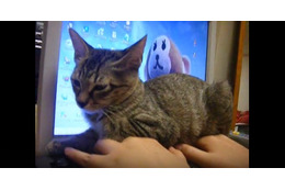 【動画】猫はキーボードが好き!もはや座布団に 画像