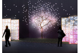 「江戸桜ルネッサンス&夜桜うたげ」開催 3月7-30日 画像