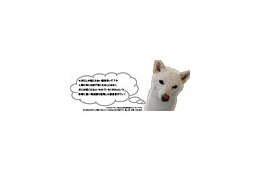 究極のマナー着信音? ドワンゴから「犬にしか聴こえない着信音」が登場 画像