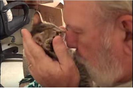 【動画】飼い主さんのキスにキレた子猫 画像