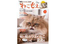 SNSで人気のねこ達がムックに！『ねこもえ』発売 画像