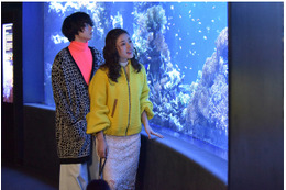 今夜の「地味にスゴイ!」、菅田将暉演じる折原幸人の意外な“秘密” 画像