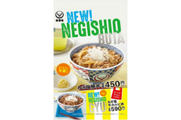 吉野家から夏限定商品「ねぎ塩豚丼」「ねぎ塩牛カルビ丼」が登場 画像