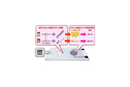 松下電器産業、DNA配列から個人の体質を電気的に識別する技術を開発 画像