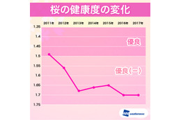 日本の桜が危ない？！健康度は昨年に続き過去最悪を継続 画像