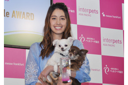 森泉、ペットのエサ代は月100万円以上とコメント! 画像