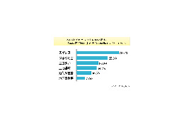 大人気の「おバカタレント」世間はどう見てる？ 画像