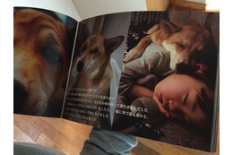 保護犬写真集のクラウドファンディングがスタート 画像
