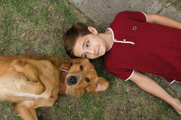 愛犬と飼い主の絆に涙!映画『僕のワンダフル・ライフ』ブルーレイ&DVDが3月発売 画像