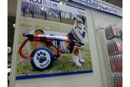 【Interpets（インターペット） 2018】アニマルオルソジャパン、犬用車いす「AOJカート」をアピール 画像