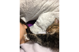 松井玲奈と愛猫・ノヴァの添い寝ショットに反響 画像