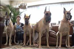愛犬家のデヴィ夫人に思わぬ悲劇が!?......『トコトン掘り下げ隊!生き物にサンキュー!!』 画像