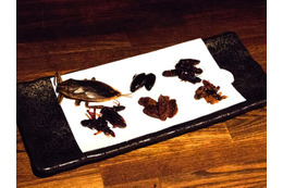 ジビエ居酒屋で昆虫食フェア開催!コオロギなどを和食・デザートとして提供 画像