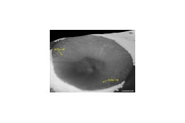 「月に水氷なし」〜月周回衛星「かぐや」、搭載地形カメラの成果を米科学誌で発表 画像