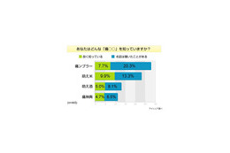 あなたが欲しい“萌えグッズ”“痛グッズ”は!?〜アイシェア調べ 画像