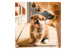 むくむくもふもふ......秋田犬親子の成長が一冊の写真集に！ 画像