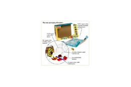 米Amazonら19社、簡易包装を推進する業界団体「Frustration-Free Packaging」を設立 画像