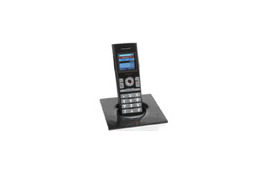アバイア、小型・軽量なH.323対応無線IP電話端末「Avaya 3631 IP Wireless Telephone」 画像