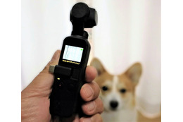【ワンコとお出かけ Vol.31】スタビライザー付き小型カメラ「DJI Osmo Pocket」はワンコ撮影に向いている? 画像