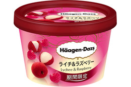 ハーゲンダッツ、ミニカップで初の