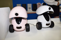 【Interpets（インターペット） 2019 Vol.5】ペット相手の遠隔操作ロボットが展示中！内蔵マイクで呼びかけも 画像