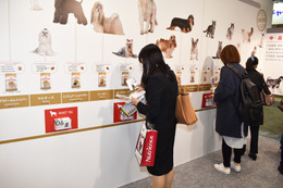 【Interpets（インターペット） 2019 Vol.7】愛犬・愛猫の健康を守る「ヒント」が得られる、ロイヤルカナン ジャポンのブース 画像