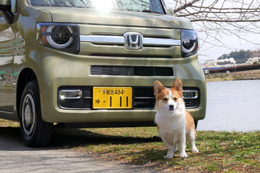 【ワンコとお出かけ Vol.36】ホンダN-VAN +STYLE FUNが我が家にやってきた 画像