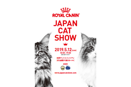 日本初！大型キャットショー「ジャパンキャットショー」が5月12日開催 画像