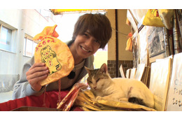 宝くじを当てると評判の猫・福ちゃんをキンプリ高橋海人が調査 画像