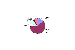 これも不景気の影響? 大みそかは家でまったり派が多数 画像