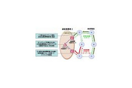 NEC、複数通信事業者間における効率的なトラフィック分散方式を開発〜ネットの負荷を1/30に削減 画像