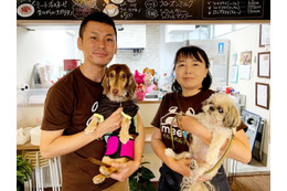 【インタビュー】愛犬家に大切なのは相手の顔が見えること!老犬向けの体験型ドッグケアカフェが誕生! 画像