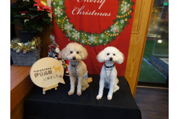 犬優先で考えられたホテル「ペット＆スパホテル 伊豆高原」宿泊レポート 画像