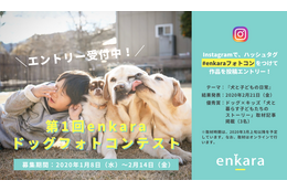 enkara、ドッグフォトコンテスト開催！第一回テーマは“犬と子どもの日常” 画像