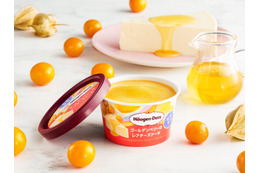 ハーゲンダッツ、スーパーフードのゴールデンベリーをミニカップでアレンジ 画像