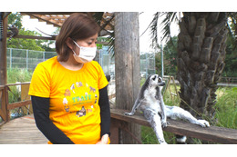 夢は自分の動物園を持つこと!『セブンルール』がサル類専門動物園の飼育員に迫る! 画像