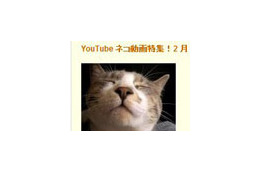 猫好き注目！YouTubeが猫動画特集！ 画像