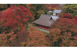 TBS『世界遺産』放送25周年は“京都空撮”SP!天龍寺や龍安寺の石庭・方丈庭園をテレビ初のドローン撮影 画像