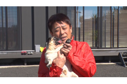 犬14匹＆猫4匹の大家族「坂上家」、番組未公開シーンを含む自宅映像公開 画像