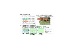 NEC、マルチコア対応のH.264/MPEG-4 AVCソフトウェアコーデックを開発 画像