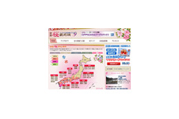 さぁ!今年のお花見はどこにする? ライブカメラで全国の桜をチェック 画像
