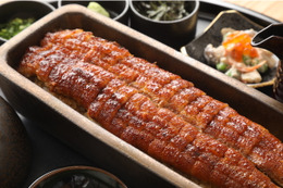「一本うなぎ」が自慢の「うなぎ四代目菊川」関西初出店! 画像