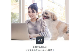 ビジネスホテルで愛犬と一緒に宿泊できるリーズナブルなプランが登場! 画像