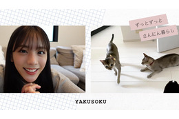 貴島明日香、”スーパー猫の日”に愛猫たちとのVlog公開 画像