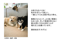 パナソニック、「保護犬猫譲渡会」開催！来場時にステッカーがもらえるSNSキャンペーンも 画像