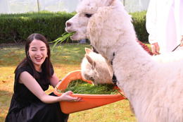 もしも広瀬すずがアルパカを飼ったら!初めての餌やりに大興奮「目がめちゃくちゃ可愛い!」 画像