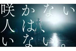 櫻坂46、ついに新メンバーオーディション開始！テーマは「咲かない⼈は、いない。」 画像