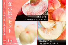 「4大産地の桃食べ比べセット」発売!「桃サミット2022」でプロのカッティングやレシピを学ぼう 画像